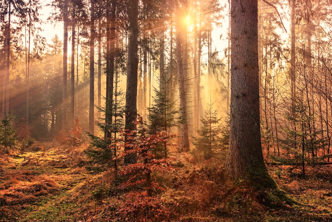 HDR Image